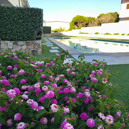 The Pool House - Il Gabbiano פאלאו